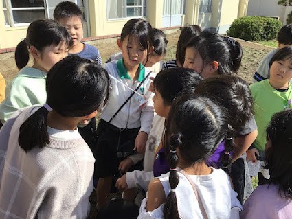 日なたと日かげの地面の温度を観察しました。
