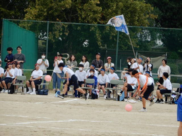 https://higashiura.schoolweb.ne.jp/2320111/blog_img/54272562?tm=20241018150233