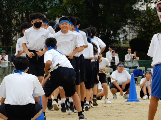 https://higashiura.schoolweb.ne.jp/2320111/blog_img/54272848?tm=20241018151821