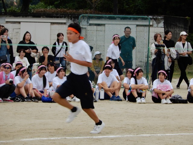 https://higashiura.schoolweb.ne.jp/2320111/blog_img/54273049?tm=20241018153305