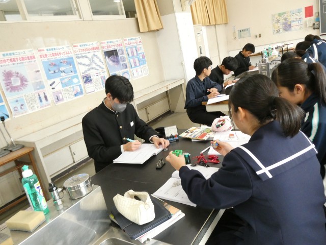 https://higashiura.schoolweb.ne.jp/2320112/blog_img/141936275?tm=20241218144252